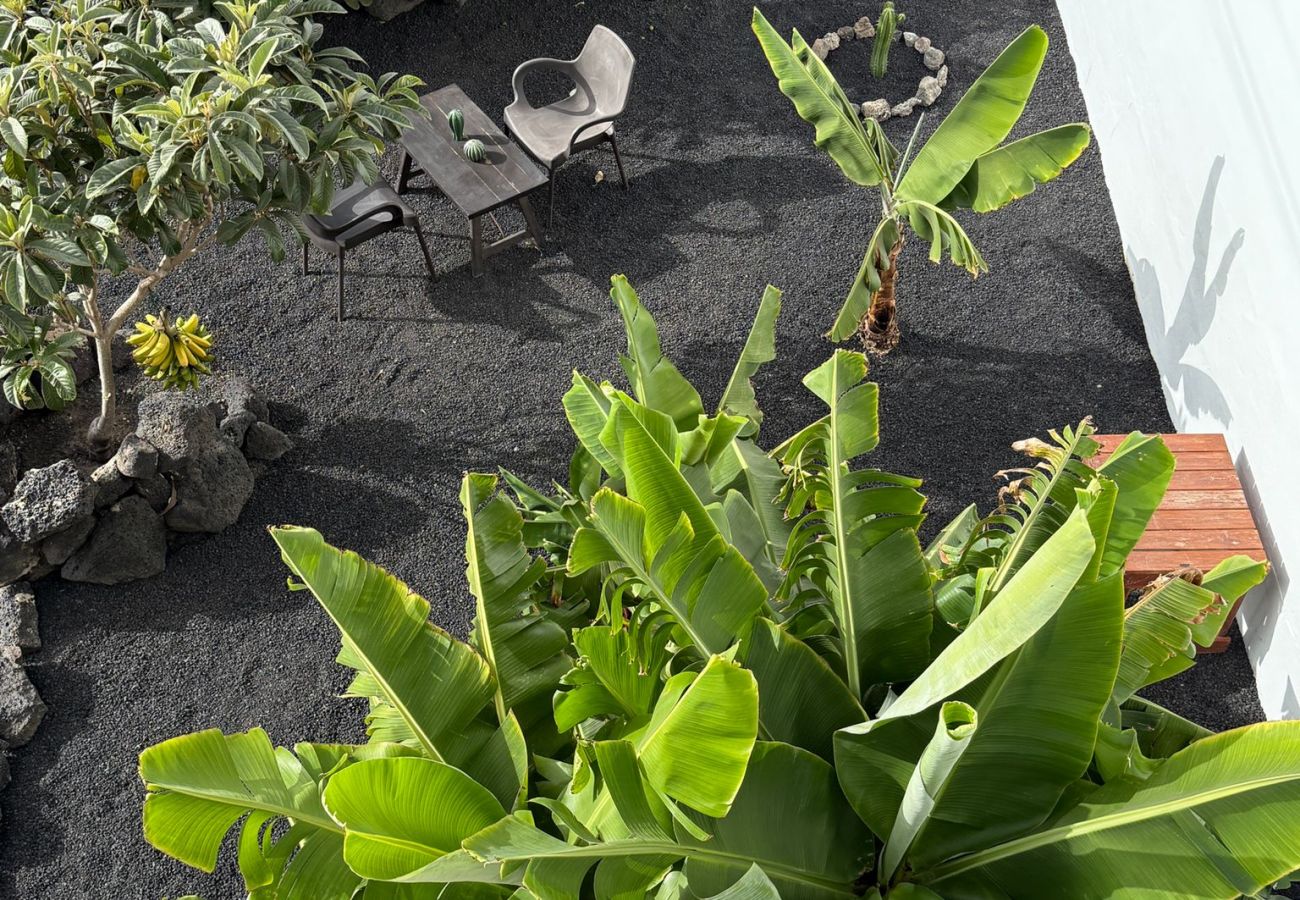 Casa en Tinajo - NoPasaNada: apartmento privado el Hierro, vistas al jardín