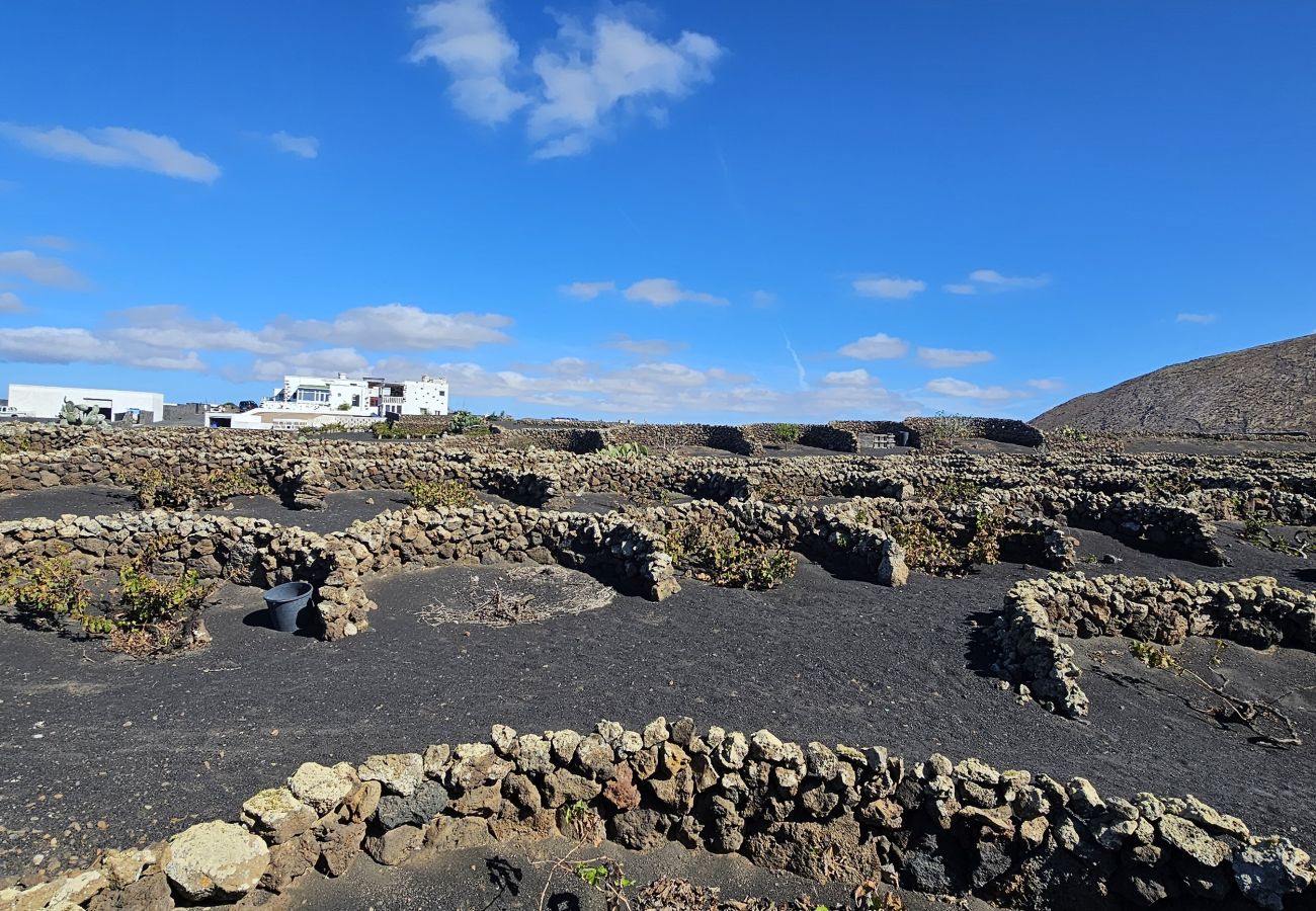 Casa en Conil - Casa Mica Rural - Entorno Idílico By LVH