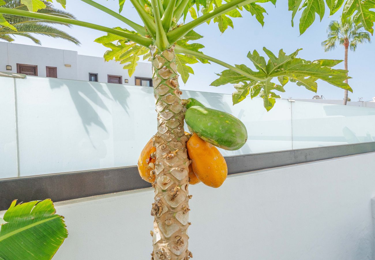 Casa en Puerto del Carmen - Casa Marlena- Terraza privada- 4 min de la playa by Lanzarote Vacation Homes
