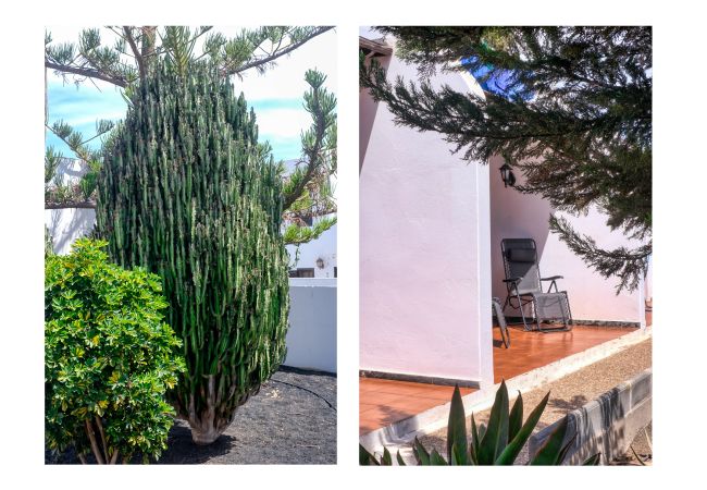 Ferienwohnung in Puerto del Carmen - Suite Abora - Entspannen Sie sich 500 m vom Strand entfernt, schnelles WLAN Ferienwohnung in Puerto del Carmen - Suite Abora - Entspannen Sie sich 500 m vom Strand entfernt, schnelles WLAN