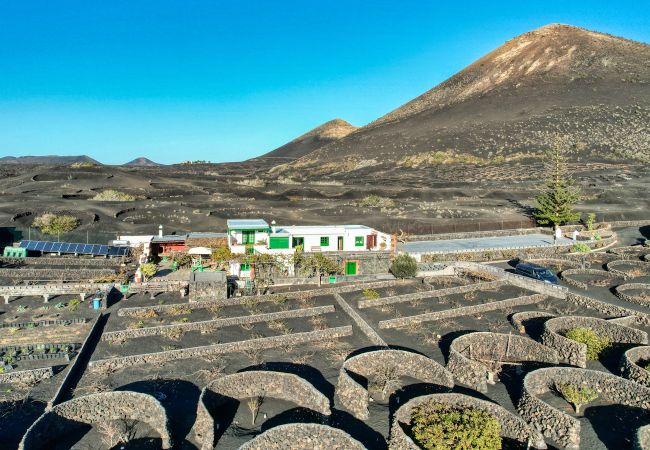 Ferienhaus in Yaiza - Casa Diama 1: Blick auf La Geria und gemeinsames Schwimmbad  Ferienhaus in Yaiza - Casa Diama 1: Blick auf La Geria und gemeinsames Schwimmbad