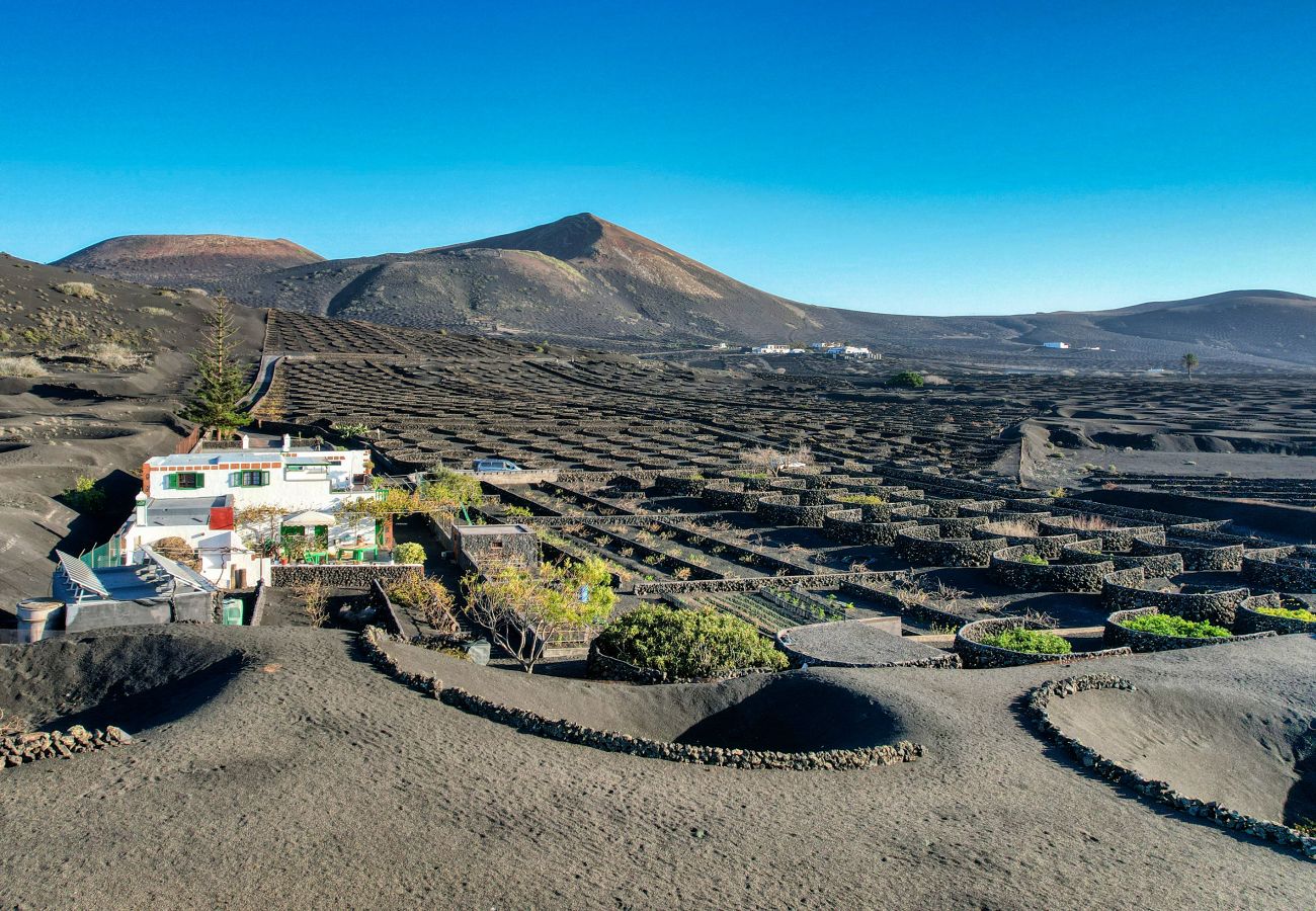 Ferienhaus in Yaiza - Casa Diama 1: Blick auf La Geria und gemeinsames Schwimmbad  Ferienhaus in Yaiza - Casa Diama 1: Blick auf La Geria und gemeinsames Schwimmbad