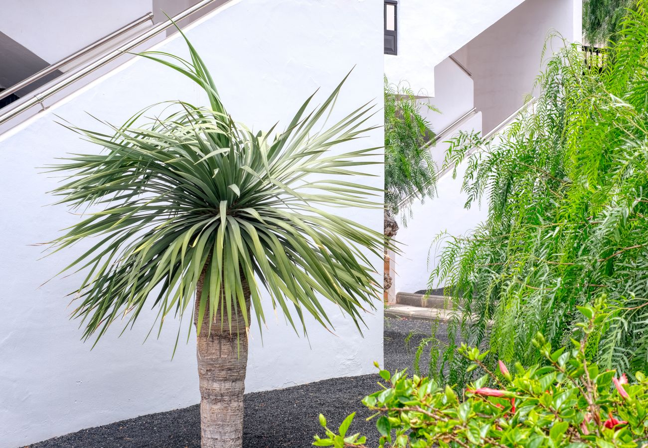 Ferienhaus in Costa Teguise - Casa La Arena - Blick auf den Pool By LVH