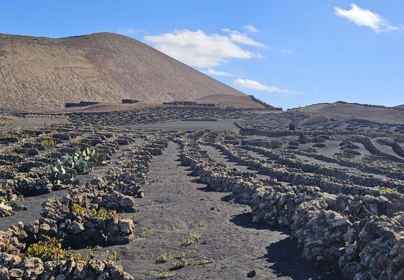 Ferienhaus in Conil - Casa Mica Rural - Idyllische Lage By LVH