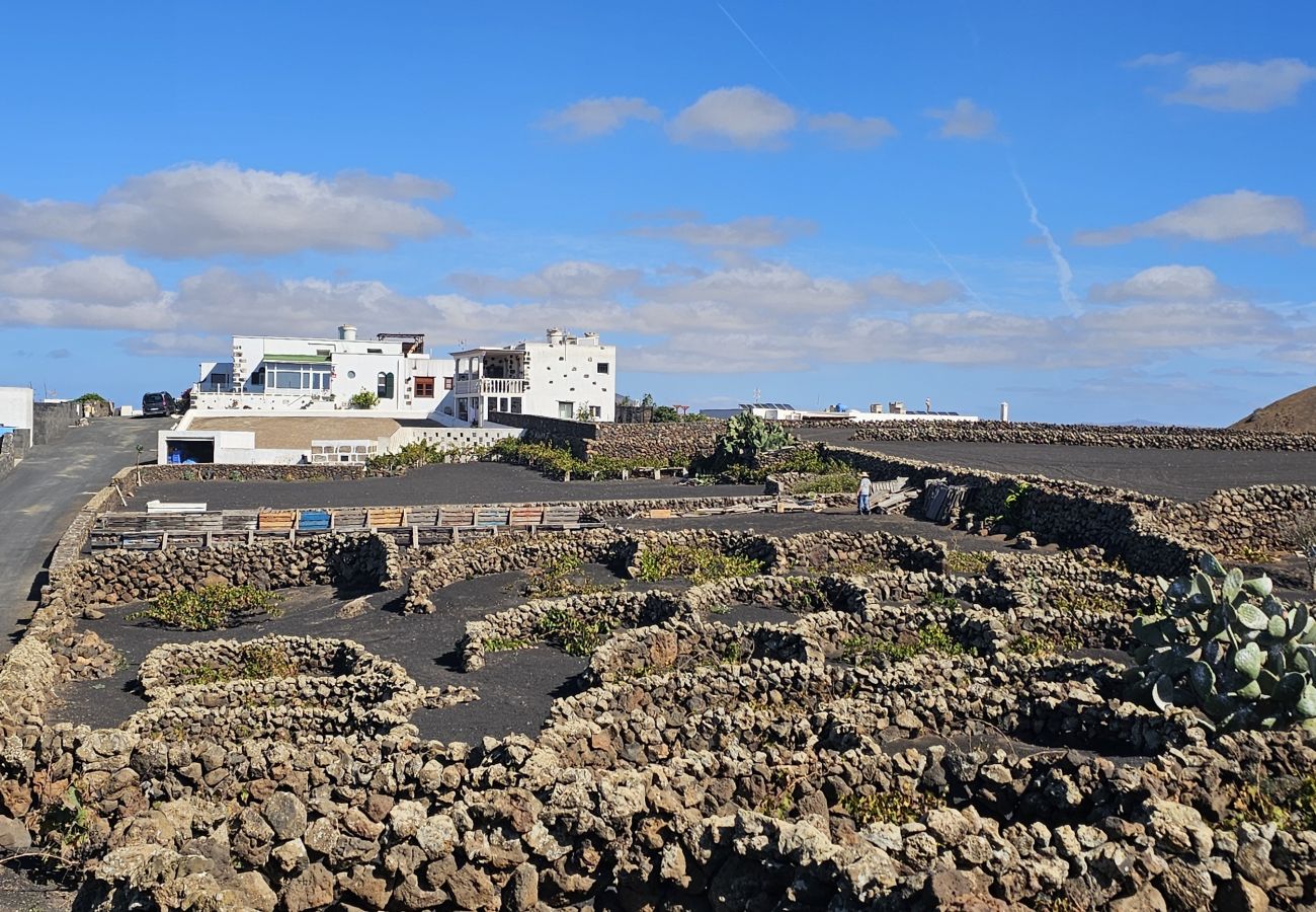 Ferienhaus in Conil - Casa Mica Rural - Idyllische Lage By LVH