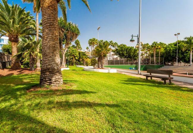 House in Puerto del Carmen - White Volcano -200 m from the beach-access to the fariones sports centre included (swimming pool, sauna, gym) House in Puerto del Carmen - White Volcano -200 m from the beach-access to the fariones sports centre included (swimming pool, sauna, gym)