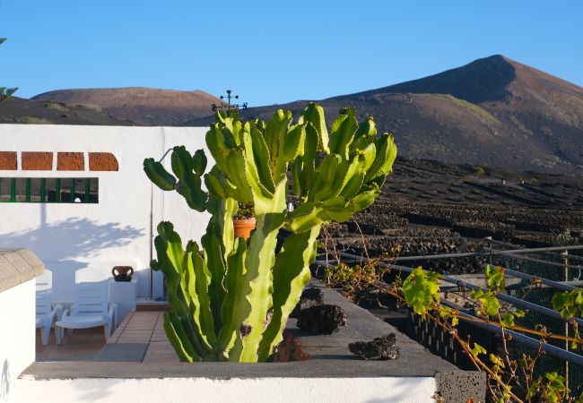 House in Yaiza - Casa Diama 2: view of La Geria and shared pool  House in Yaiza - Casa Diama 2: view of La Geria and shared pool