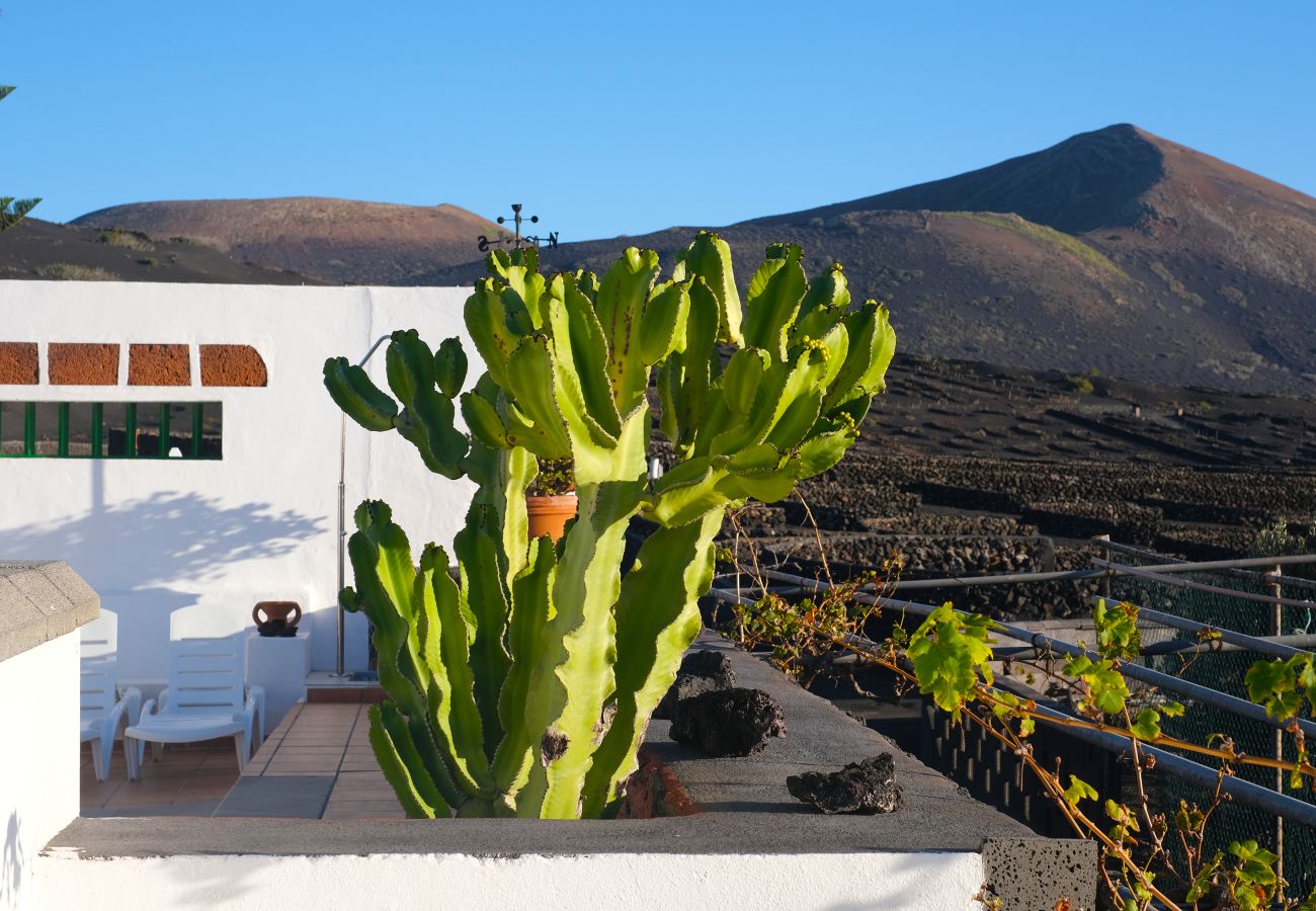 House in Yaiza - Casa Diama 2: view of La Geria and shared pool  House in Yaiza - Casa Diama 2: view of La Geria and shared pool
