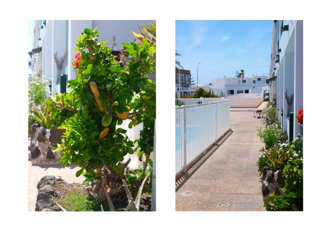 House in Puerto del Carmen - Casa Emilia-close to all amenities and beach House in Puerto del Carmen - Casa Emilia-close to all amenities and beach