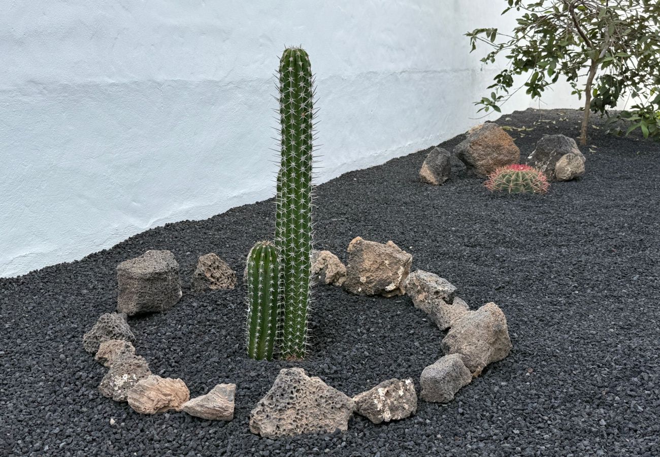 House in Tinajo - NoPasaNada: apartmento privado el Hierro, vistas al jardín