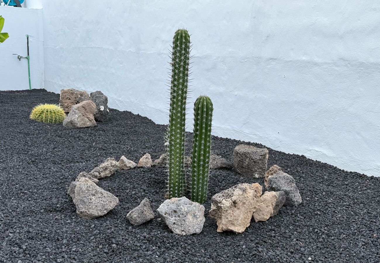 House in Tinajo - NoPasaNada: apartmento privado el Hierro, vistas al jardín