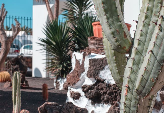 House in Puerto del Carmen - Eva Vacation Home Pool & Relax - Very close to the beach  House in Puerto del Carmen - Eva Vacation Home Pool & Relax - Very close to the beach