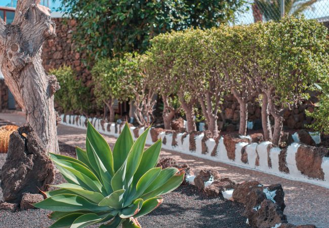 House in Puerto del Carmen - Eva Vacation Home Pool & Relax - Very close to the beach  House in Puerto del Carmen - Eva Vacation Home Pool & Relax - Very close to the beach