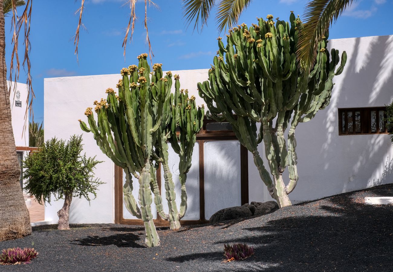 Casa a Costa Teguise - Los Molinos Luxury and Relax  Casa a Costa Teguise - Los Molinos Luxury and Relax