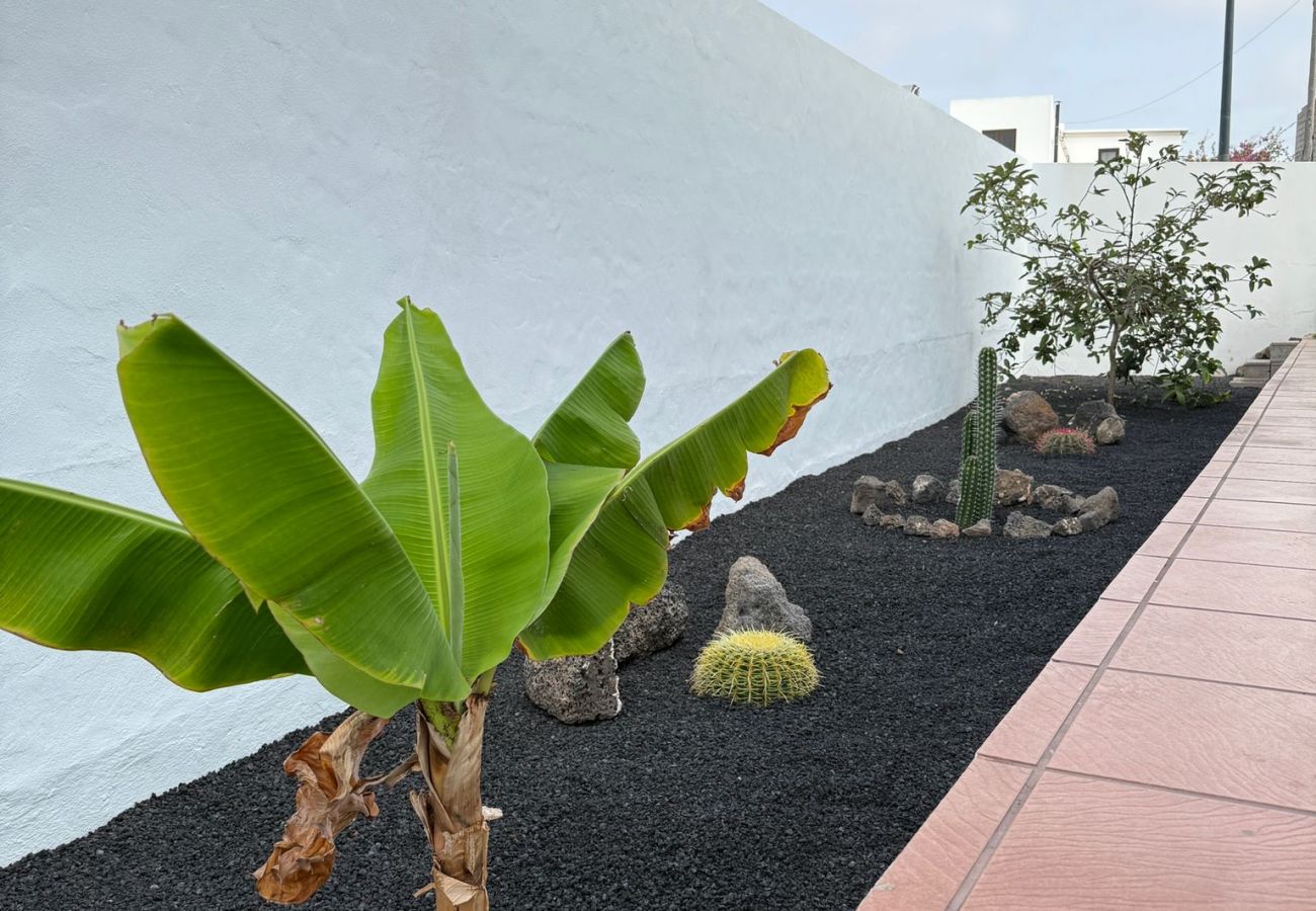 Casa a Tinajo - NoPasaNada: apartmento privado el Hierro, vistas al jardín