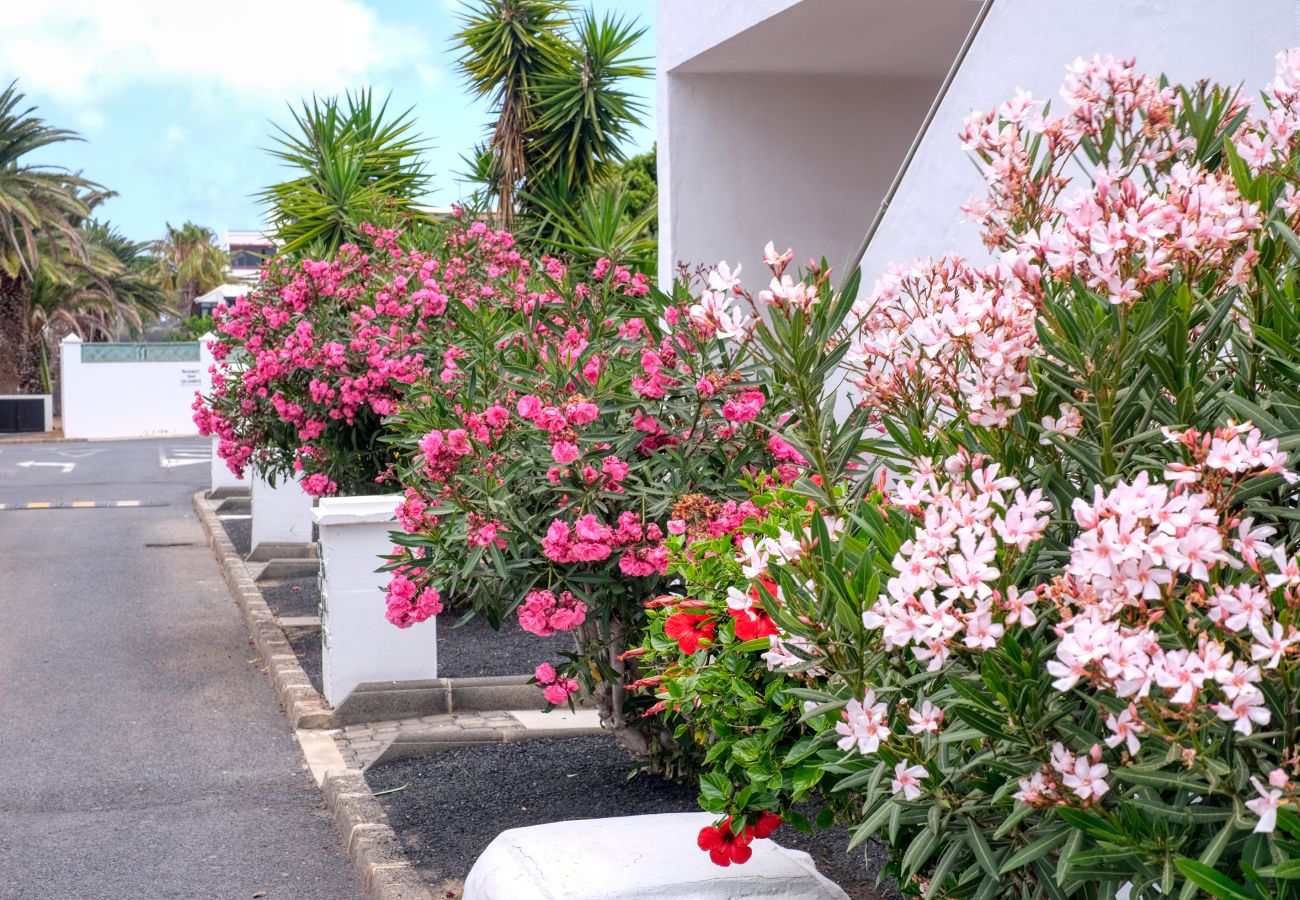 Casa a Costa Teguise - Casa La Arena - Vista Piscina By LVH