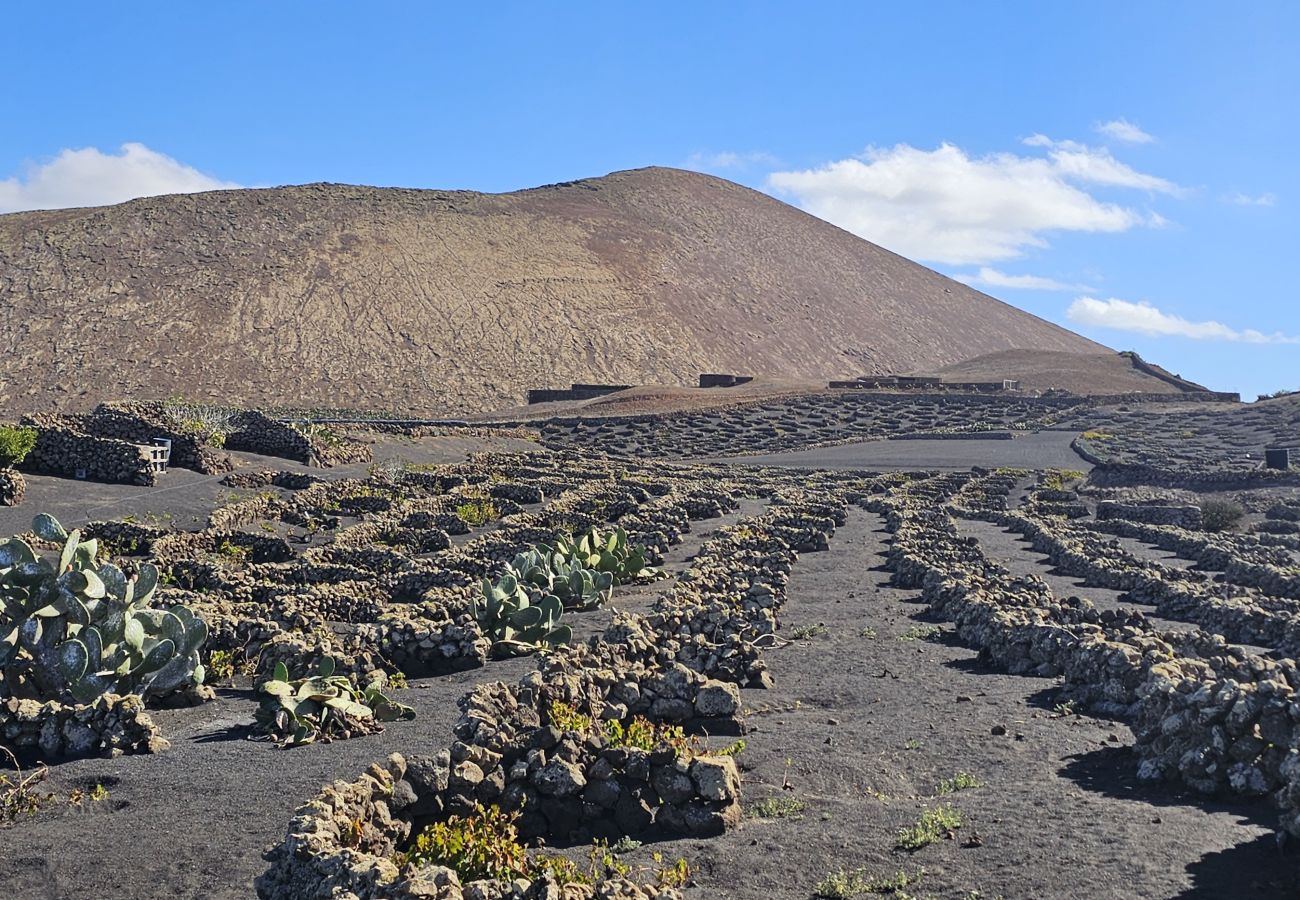 Casa a Conil - Casa Mica Rural  - Ambiente Idilliaco By LVH